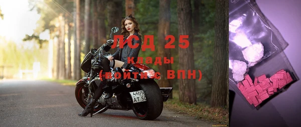 спайс Богданович