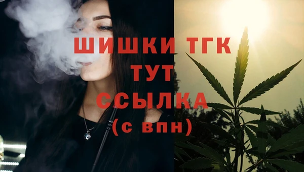 спайс Богданович